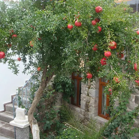 Hera Bergama